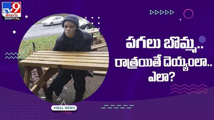 పగలు బొమ్మ.. రాత్రయితే దెయ్యంలా.. ఎలా ?? వీడియో పగలు బొమ్మ.. రాత్రయితే దెయ్యంలా.. ఎలా ?? వీడియో