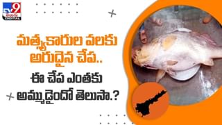 రెస్టారెంట్‌కు వచ్చిన దున్నపోతు !! వీడియో చూస్తే షాక్