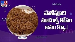 Amla: రోజుకు ఒక్క ఉసిరికాయ చాలు.. సూపర్ ఆరోగ్యం మీ సొంతం.. వీడియో