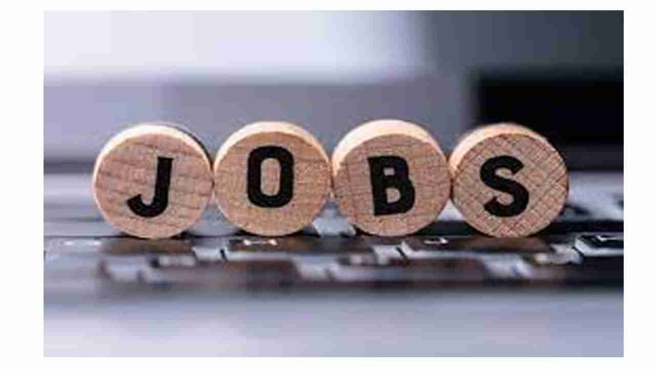 DCHS Nandyala Jobs: రాత పరీక్షలేకుండానే ఎంపికలు.. కర్నూలులో 171 ఉద్యోగాలు.. 3 రోజుల్లో ముగుస్తున్న..