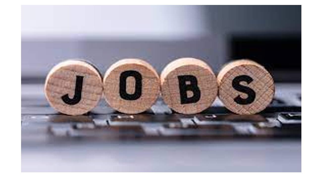 DCHS Nandyala Jobs: రాత పరీక్షలేకుండానే ఎంపికలు.. కర్నూలులో 171 ఉద్యోగాలు.. 3 రోజుల్లో ముగుస్తున్న..