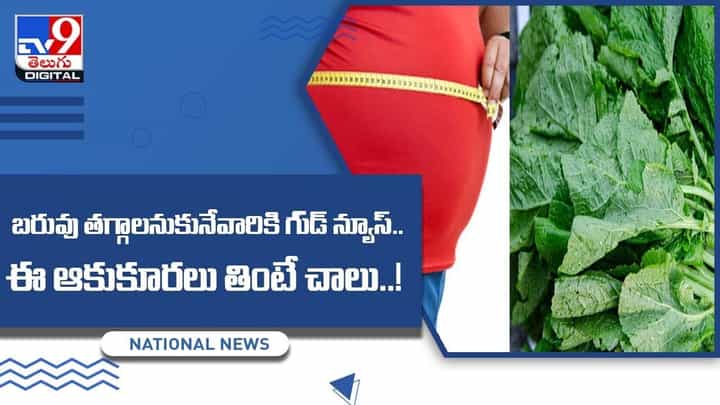 బరువు తగ్గాలనుకునేవారికి గుడ్ న్యూస్ !! ఈ ఆకుకూరలు తింటే చాలు !! వీడియో బరువు తగ్గాలనుకునేవారికి గుడ్ న్యూస్ !! ఈ ఆకుకూరలు తింటే చాలు !! వీడియో