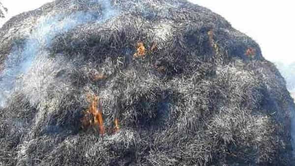 Telangana: ఏటా దగ్ధమవుతున్న గడ్డివాము.. సీక్రెట్గా సీసీ కెమెరాలు అమర్చిన బాధితుడు.. ఫుటేజీలో షాకింగ్ సీన్