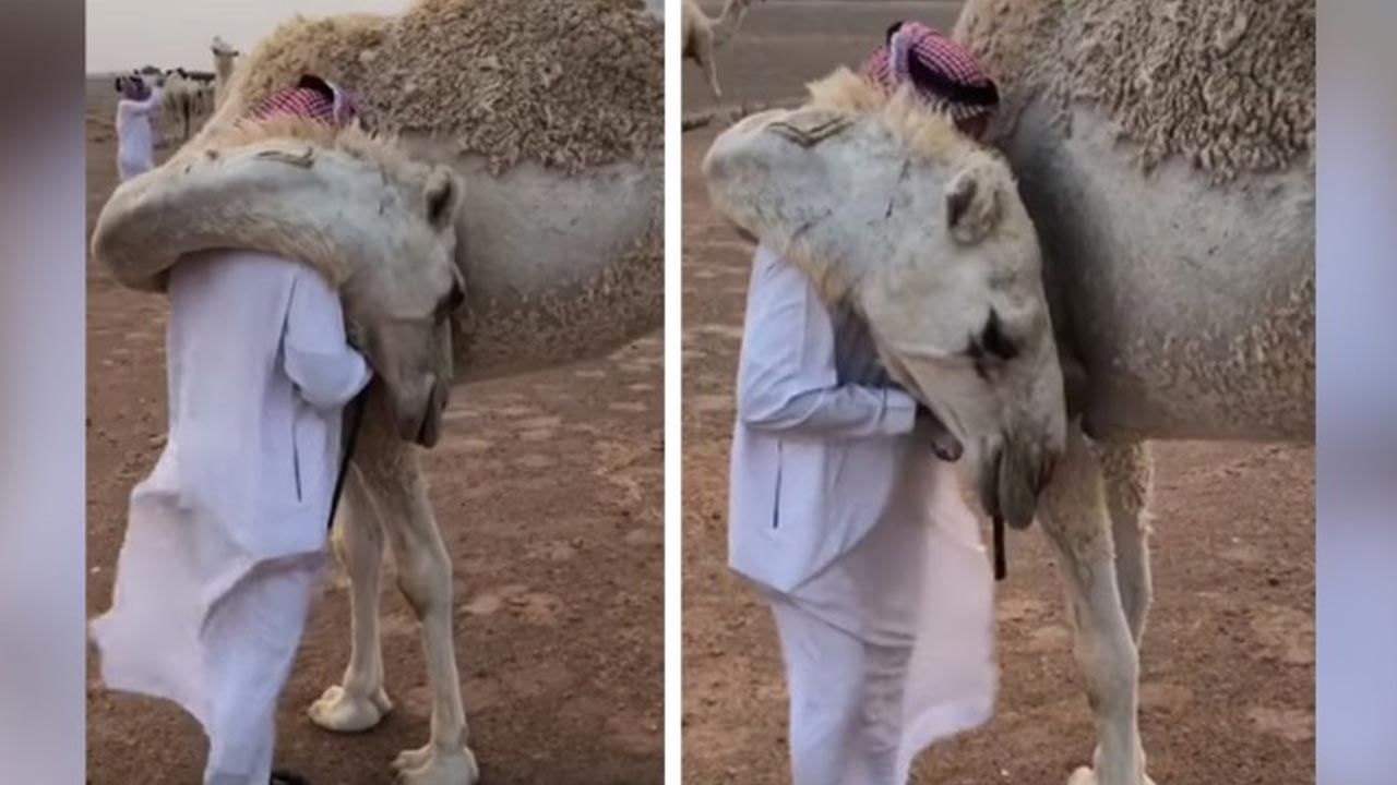 Viral video: పాత యజమానిపై ప్రేమ.. కనిపించడంతోనే ఇలా కౌగిలించుకుంది..