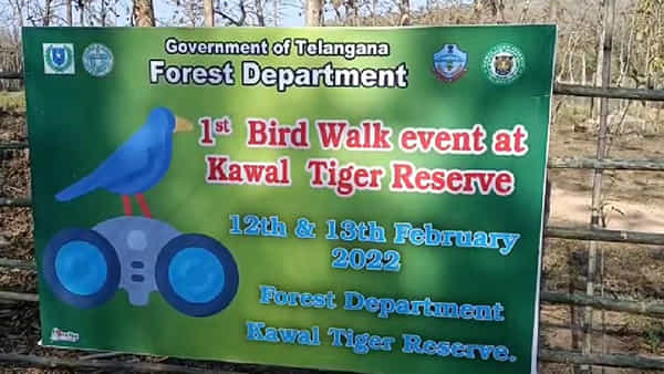 Bird Walk Festival: కవ్వాల్ జంగిల్లో అందాల పక్షుల పండుగ.. పులుల అడ్డాలో పక్షి ప్రేమికుల సందడి