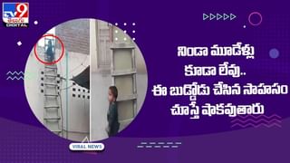 Viral Video: పక్షిలా గాలిలో ఎగురుతున్న కోడి.. ఆశ్చర్యపోతున్న జనం !! వీడియో