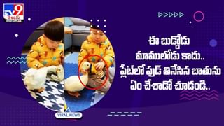 Digital TOP 9 NEWS: భీమ్లా నాయక్‌ వాయిదా | కారుతో హెలికాప్టర్‌ రెడీ చేసిన యువకుడు.. వీడియో