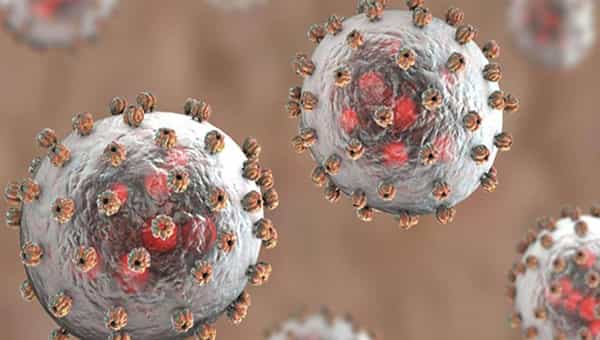 Lassa Fever: కలకలం రేపుతోన్న మరో ప్రాణాంతక వైరస్.. తొలి మరణం నమోదు.. పూర్తి వివరాలు..