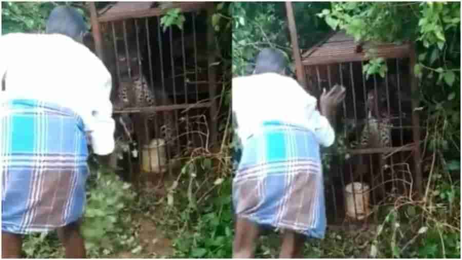 Viral Video: చిరుతపులితో మజాకా.. రక్తం కళ్లజూడాల్సిందే.. వైరల్‌ అవుతున్న వీడియో..