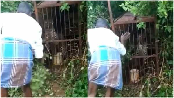 Viral Video: చిరుతపులితో మజాకా.. రక్తం కళ్లజూడాల్సిందే.. వైరల్ అవుతున్న వీడియో..