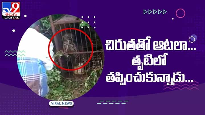 Viral Video: చిరుతతో ఆటలా !! తృటిలో తప్పించుకున్నాడు !! వీడియో Viral Video: చిరుతతో ఆటలా !! తృటిలో తప్పించుకున్నాడు !! వీడియో