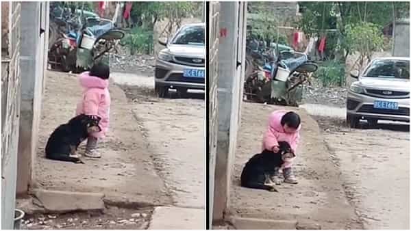 Viral Video: అయ్యయ్యో వద్దమ్మా అంటూనే.. ఈ చిన్నది ఏం చేసిందో తెలుసా.. షాకింగ్ వైరల్ వీడియో..