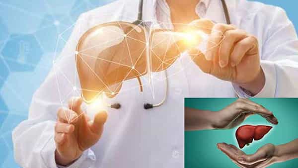Liver Health Care: లివర్ సమస్యలతో ఇబ్బందులు పడుతున్నారా..? ఆరోగ్యంగా ఉండాలంటే ఇలా చేయండి..