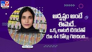 Viral Video: అకస్మాత్తుగా నేలపై పడిన పక్షుల మంద.. వీడియో చూస్తే షాకవుతారు.. 5G ఎఫెక్ట్ అంటోన్న నెటిజన్లు?