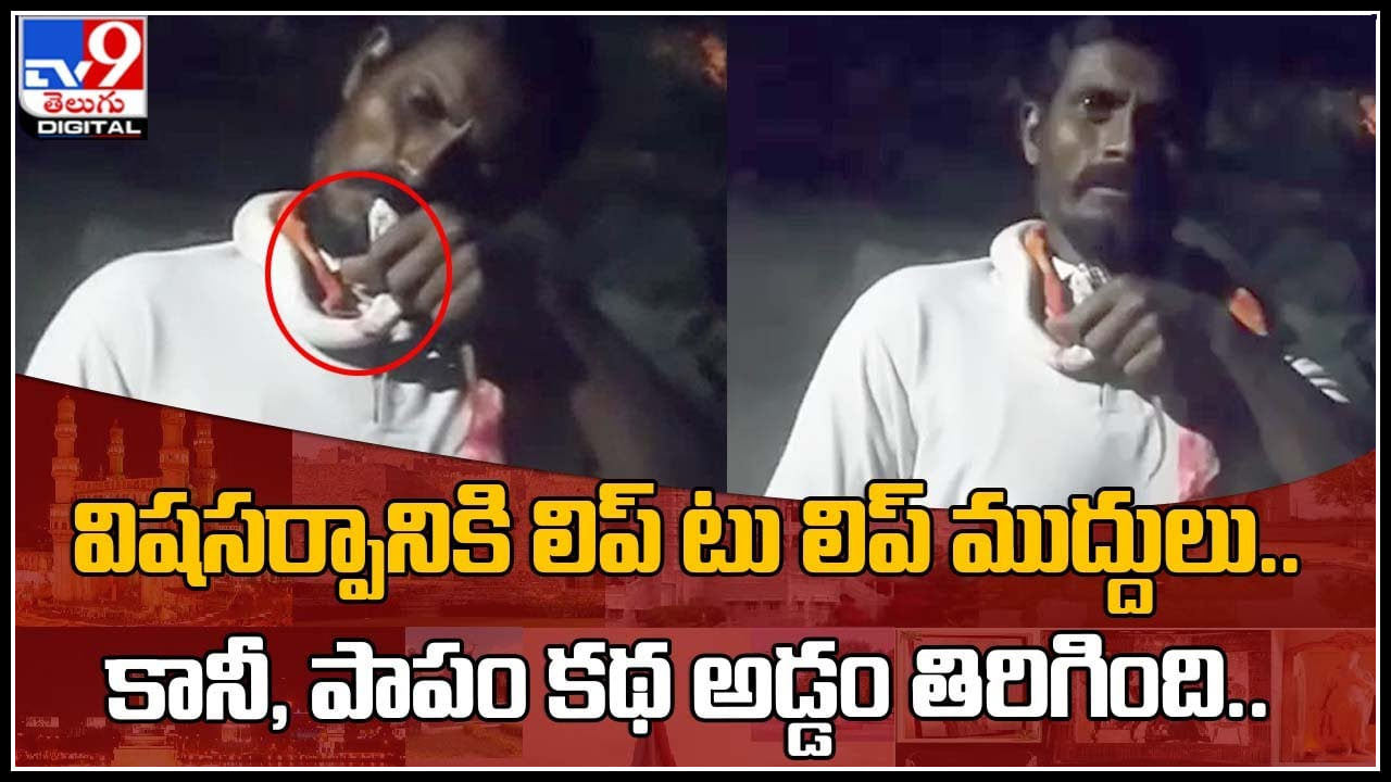 Kisses to snake video: విషసర్పానికి లిప్ టు లిప్ ముద్దులు..కానీ, పాపం కథ అడ్డంతిరిగింది.. వైరల్ అవుతున్న వీడియో..