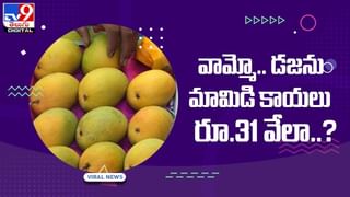 Viral News: ట్రెండీ లుక్‌లో తళుక్కుమన్న మెరుపు తీగ రీనా ద్వివేది.. కొంచెం మార్పు అవసరమంటూ..