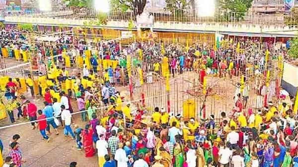 Medaram Jatara 2022: నేడు మేడారం మహాజాతరకు బయలుదేరనున్న సమ్మక్క భర్త పగిడిద్దరాజు..
