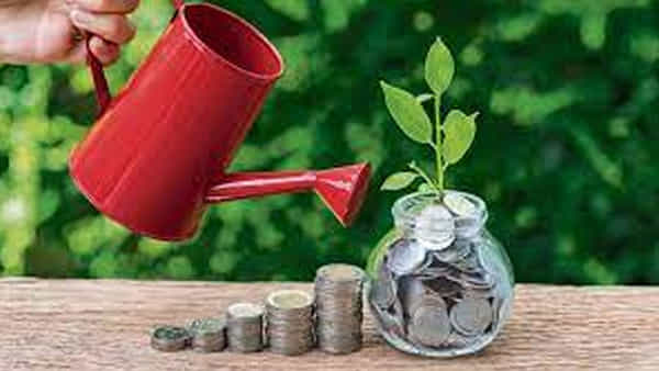 Corporate Bond Fund: బ్యాంక్ వడ్డీ కన్నా ఎక్కువ రిటర్న్ ఇస్తున్న ఆ మ్యూచువల్ ఫండ్స్..