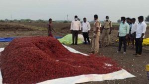 Andhra Pradesh: మీరు కల్లాల్లో మిర్చి పంట పోసి.. ఆదరమరుస్తున్నారా.. తస్మాత్ జాగ్రత్త