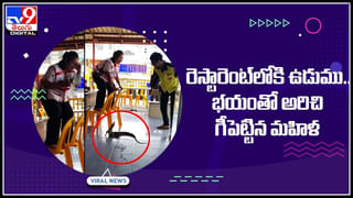 Viral Video: మరీ చీర కోసం ఇంత రిస్క్‌ చేయ్యాలా..? సోషల్ మీడియాలో ఆ మహిళను ట్రోల్‌ చేస్తున్న నెటిజన్స్‌.. వీడియో