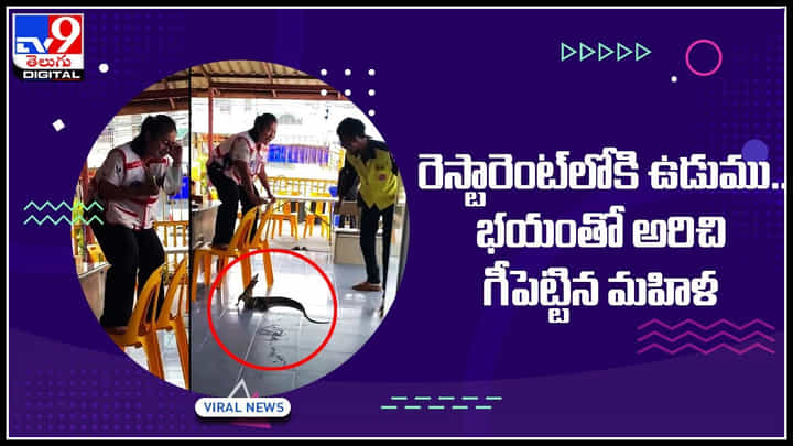 Viral Video: ఔరా..! ఉడుము ఎంత పని చేసింది.. రెస్టారెంట్లోకి దూరి మహిళకు చుక్కలు చూపించిన ఉడుము.. వైరల్ అవుతున్న వీడియో.. Viral Video: ఔరా..! ఉడుము ఎంత పని చేసింది.. రెస్టారెంట్లోకి దూరి మహిళకు చుక్కలు చూపించిన ఉడుము.. వైరల్ అవుతున్న వీడియో..