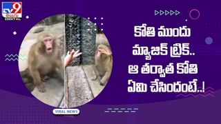 Viral Video: హీరో అవుదామనుకున్నాడు.. బొక్కబోర్లా పడ్డాడు !! వైరల్‌ వీడియో