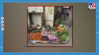 నదిలో టూరిస్టుల బోటింగ్‌ !! ఇంతలో భారీ వింత చేప !! వీడియో