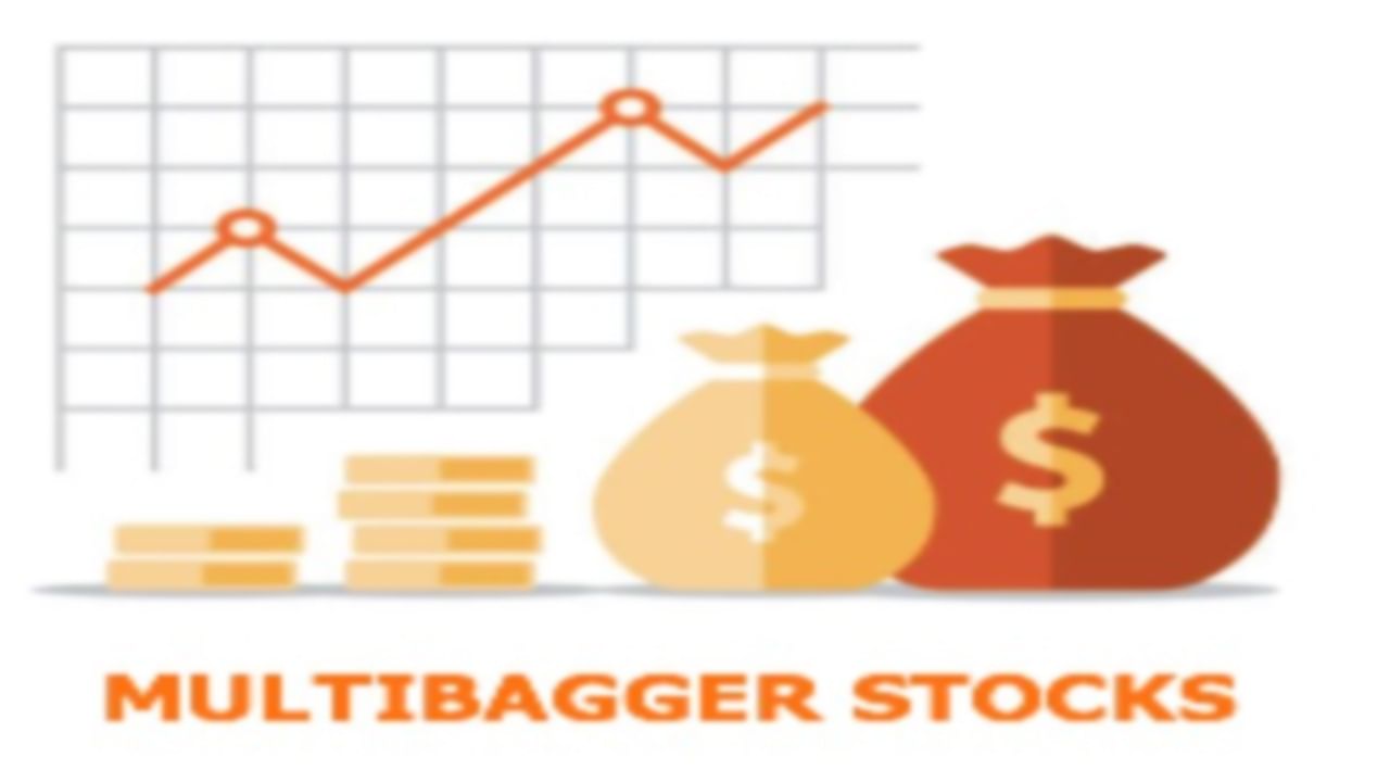 Multibagger Stock: రూ. లక్షను.. రూ. 65 లక్షలు చేసిన మల్టీ బ్యాగర్ స్టాక్.. బ్రోకరేజ్ సంస్థలు టార్గెట్ ఎంత ఇచ్చాయంటే..