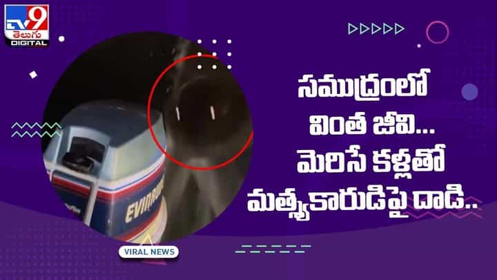 సముద్రంలో వింత జీవి !! మెరిసే కళ్లతో మత్స్యకారుడిపై దాడి !! వీడియో సముద్రంలో వింత జీవి !! మెరిసే కళ్లతో మత్స్యకారుడిపై దాడి !! వీడియో