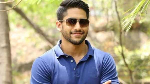 Naga Chaitanya: అక్కినేని అందగాడితో మళ్లీ జత కట్టనున్న లైలా!.. దర్శకుడు ఎవరంటే..