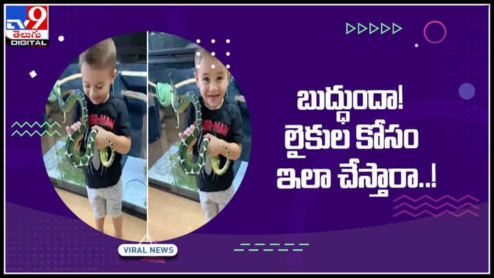 Viral Video: బుద్ధుందా! లైకుల కోసం ఇలా చేస్తారా..! బాబు చేతిలో పామును పెట్టి వీడియో.. వైరల్ అవుతున్న వీడియో.. Viral Video: బుద్ధుందా! లైకుల కోసం ఇలా చేస్తారా..! బాబు చేతిలో పామును పెట్టి వీడియో.. వైరల్ అవుతున్న వీడియో..
