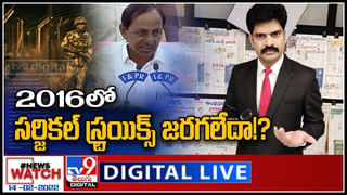 Viral Video: కోతా మజాకా.. చిరుతపులిని ముప్పు తిప్పలు పెట్టిందిగా.. చివరకు..