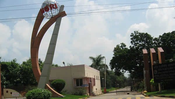 NGRI Recruitment: నేషనల్ జియోఫిజికల్ ఇన్స్టిట్యూట్లో ఉద్యోగాలు.. ఎలాంటి రాత పరీక్ష లేకుండానే ఎంపిక.