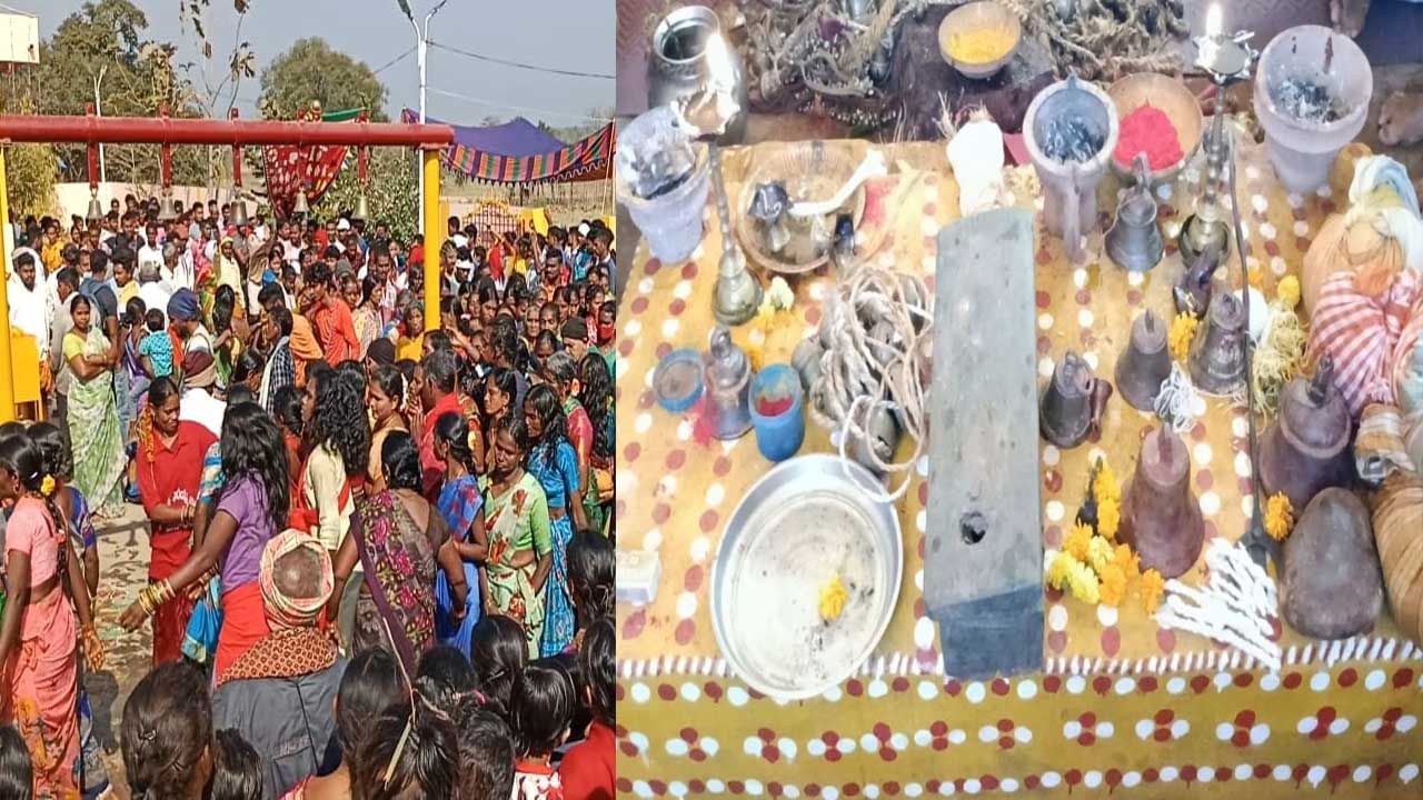 Pagididda Raju Jathara: ఘనంగా పగిడ్డిరాజు తిరుగురువారం జాతర.. పగిడిద్దరాజు, సమ్మక్కలకు నాగవెల్లి జరిపించిన ఆదివాసీలు