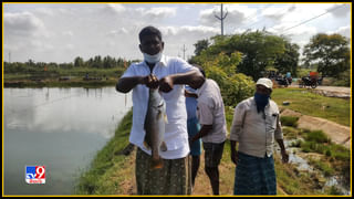 Viral Photos: లడ్డుగా ఉన్న ఈ సుందరికి బార్బీడాల్‌ అని ఫీలింగ్‌.. ట్రోల్‌ చేస్తున్న నెటిజన్లు..!