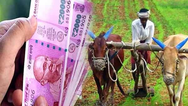 PM KISAN: పీఎం కిసాన్ స్కీమ్ డబ్బులు భార్యాభర్తలు తీసుకుంటున్నారా..? అయితే ఇబ్బందుల్లో పడినట్లే..!