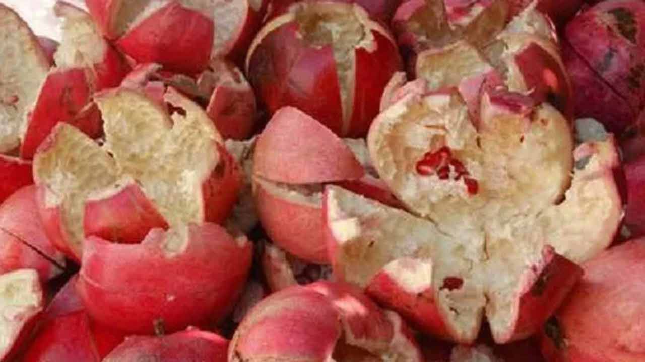 Pomegranate peel: తొక్కే కదా అని తీసిపారేయకండి.. దానితో లెక్కలేనన్ని ప్రయోజనాలు