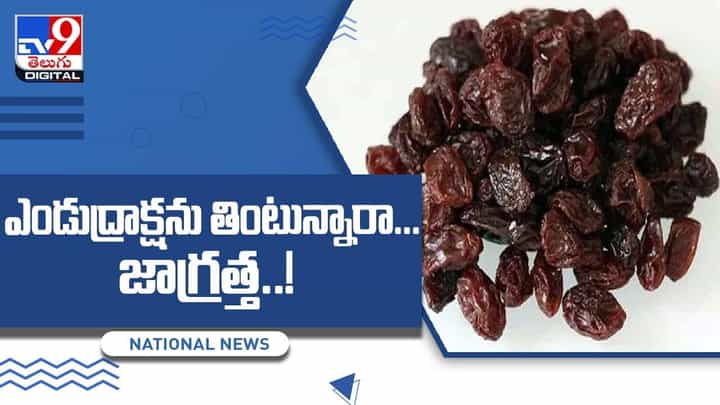 Raisins: ఎండుద్రాక్షను తింటున్నారా.. అయితే జాగ్రత్త !! వీడియో Raisins: ఎండుద్రాక్షను తింటున్నారా.. అయితే జాగ్రత్త !! వీడియో