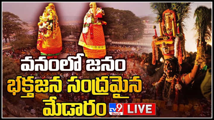 Sammakka Saralamma Jatara: వనంలో జనం.. భక్తజన సంద్రమైన మేడారం సమ్మక్క సారలమ్మ జాతర.. (వీడియో) Sammakka Saralamma Jatara: వనంలో జనం.. భక్తజన సంద్రమైన మేడారం సమ్మక్క సారలమ్మ జాతర.. (వీడియో)