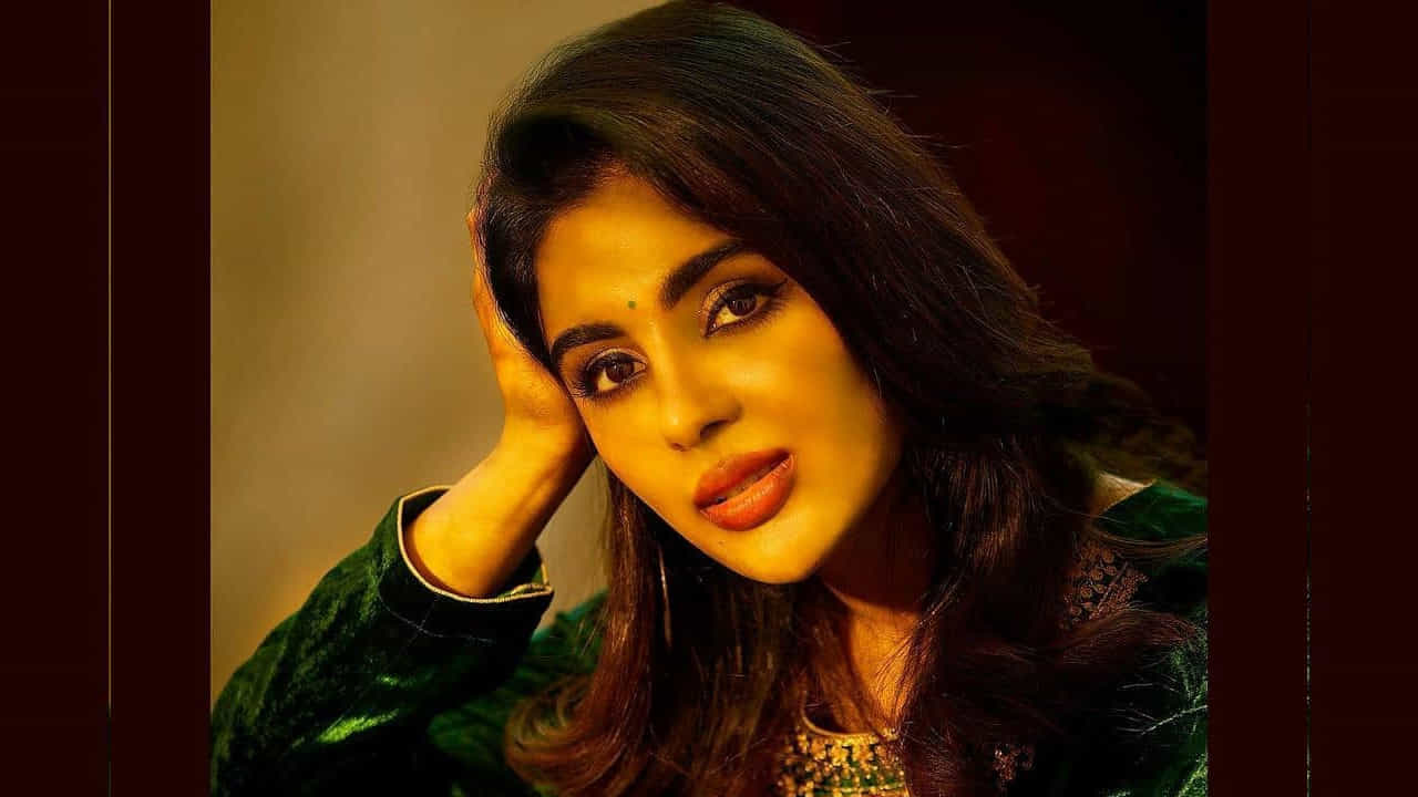 సంయుక్త తెలుగు బాగానే మాట్లాడుతోంది. పైగా చాలా కఠినమైన పదాలను కూడా స్పష్టంగా పలుకుతోంది. అందువలన తెలుగులో అవకాశాలు బాగానే రావొచ్చు అని అంటున్నారు కొందరు.