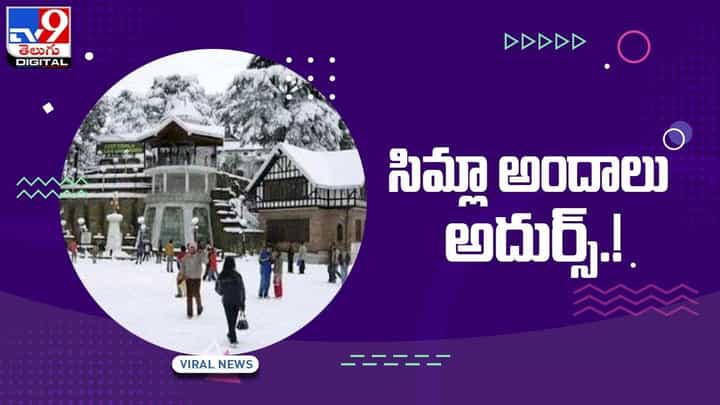 Simla: సిమ్లా అందాలు అదుర్స్ !! సోషల్ మీడియాలో వైరల్.. వీడియో Simla: సిమ్లా అందాలు అదుర్స్ !! సోషల్ మీడియాలో వైరల్.. వీడియో