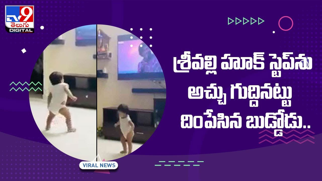 Viral Video: శ్రీవ‌ల్లి హూక్ స్టెప్‌ను అచ్చు గుద్దిన‌ట్టు దింపేసిన బుడ్డోడు.. వీడియో