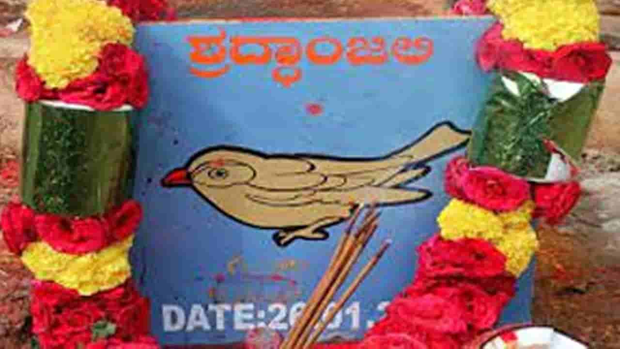 Sparrow: ఊరంతా ఏకమై పిచ్చుకకు అంత్యక్రియలు.. సమాధి కట్టి దశదినకర్మ.. తిరిగి రా అని బ్యానర్లు..