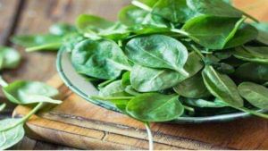 Spinach Side Effects: పాలకూరతో ఉపయోగాలేమిటి..? ఎవరు తినకూడదు..!