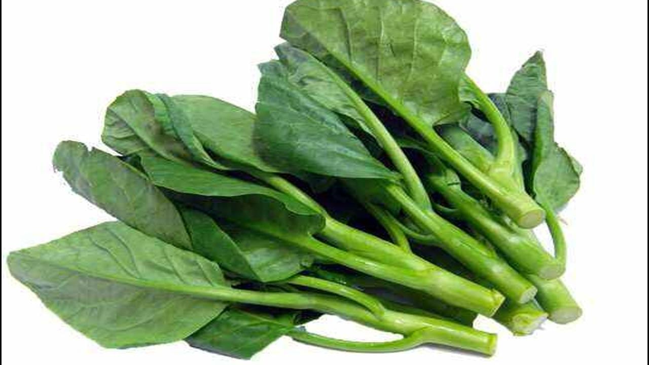 Spinach Side Effects: చలికాలంలో బచ్చలికూరను తింటే పెద్ద ప్రమాదమే.. ఎందుకో తెలుసా..