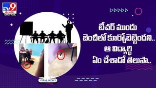 Viral Video: అమ్మో పాము.. గుడ్లన్నీ గుటుక్కున మింగేసింది.. ఆ తరువాత ట్విస్ట్ చూస్తే షాక్..