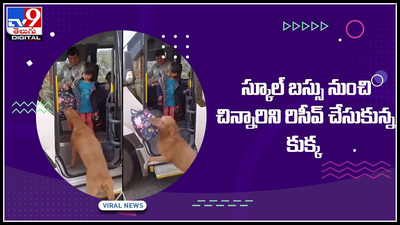 Dog Viral Video: స్కూలునుంచి వచ్చిన చిన్నారిని రిసీవ్‌ చేసుకున్న కుక్క.. నెట్టింట వైరల్‌ అవుతున్న క్యూట్‌ వీడియో