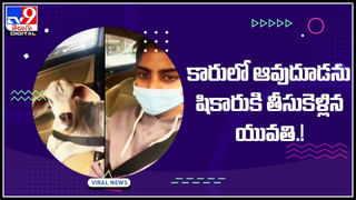 Viral Video: కర్మ సిద్ధాంతం అంటే ఇదే.. కుక్కను తన్నబోయాడు, నవ్వుల పాలయ్యాడు..