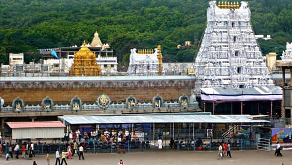 TTD: తిరుమల భక్తులకు గుడ్న్యూస్.. మార్చి 10న విదేశీ నాణేల ఈ-వేలం... వినియోగించుకోండి