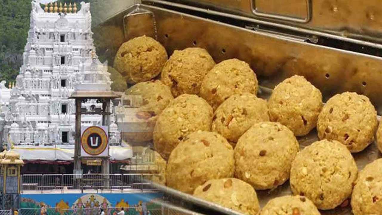 Tirumala Laddu: ఇక నుంచి తిరుమల శ్రీవారి లడ్డూకు మరింత రుచి.. ఎందుకో తెలుసా..?